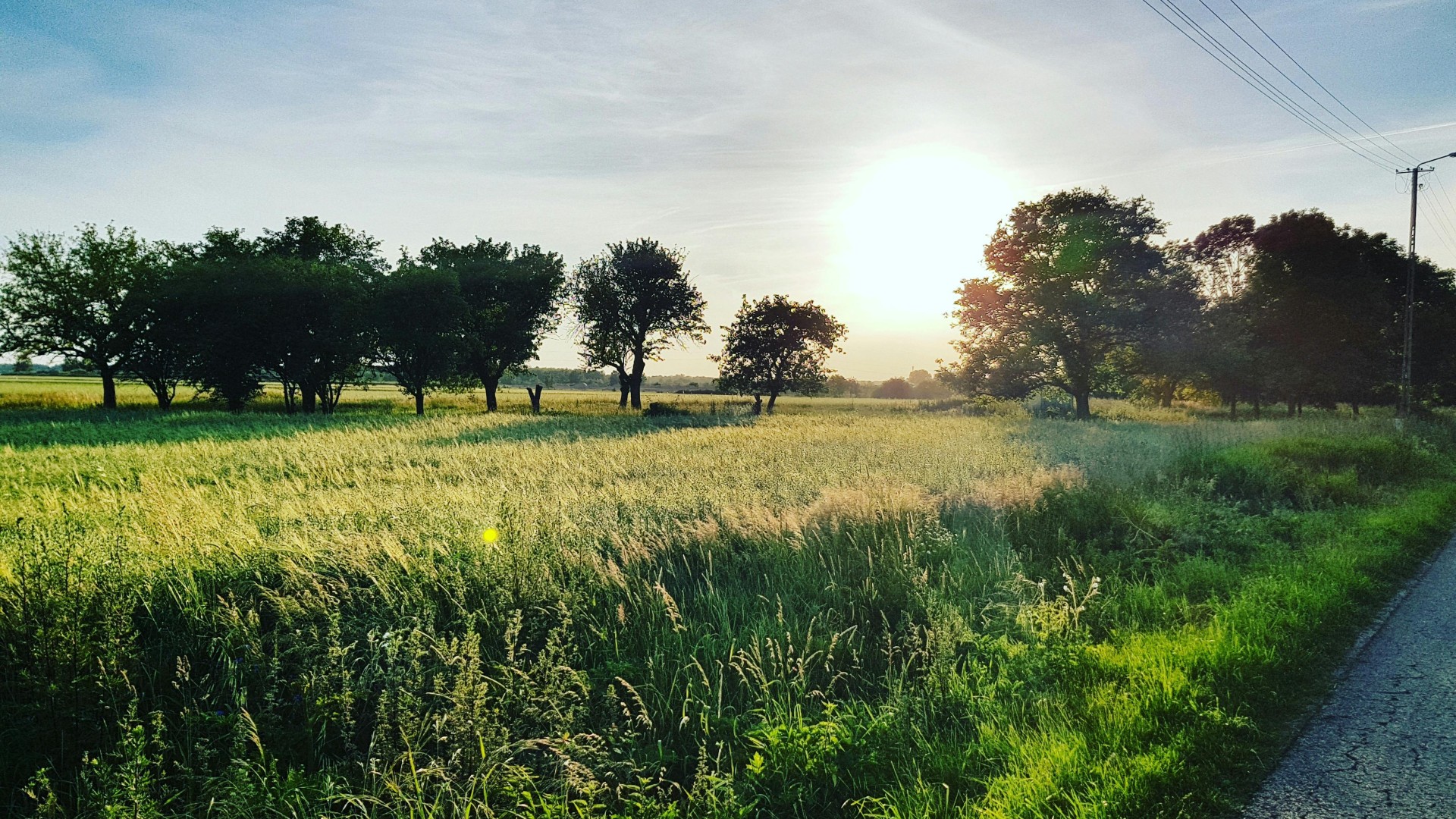 Foundation for the Development of Polish Agriculture